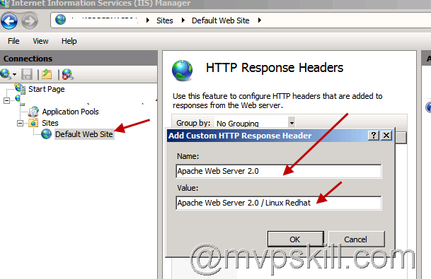 Hardening IIS Web Server, IIS Remove Server Banner, IIS Hiden Signature